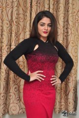 Wamiqa Gabbi at Bhale Manchi Roju Movie Press Meet